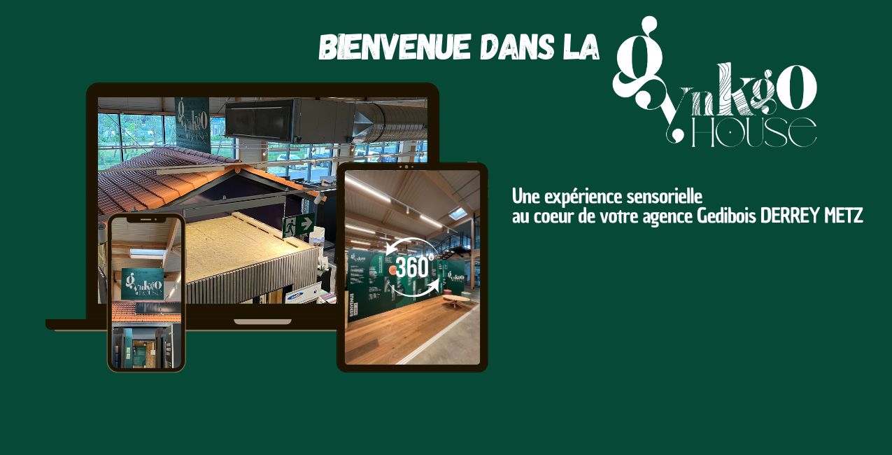 Gynkgo House interactive